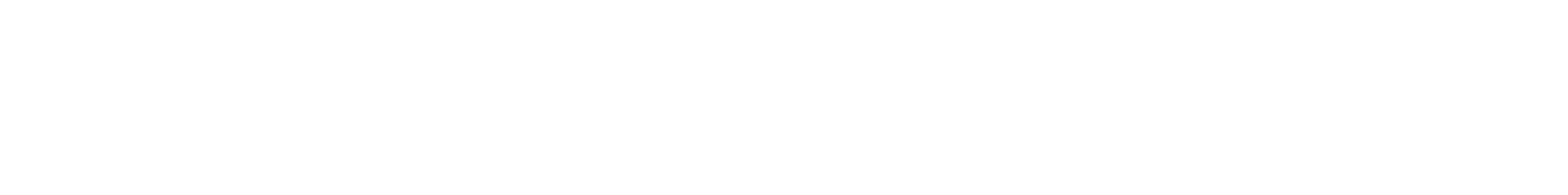 Fighting Leslies DC